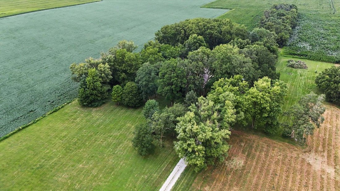 House in Sadorus, Illinois, United States 4 - 18663300