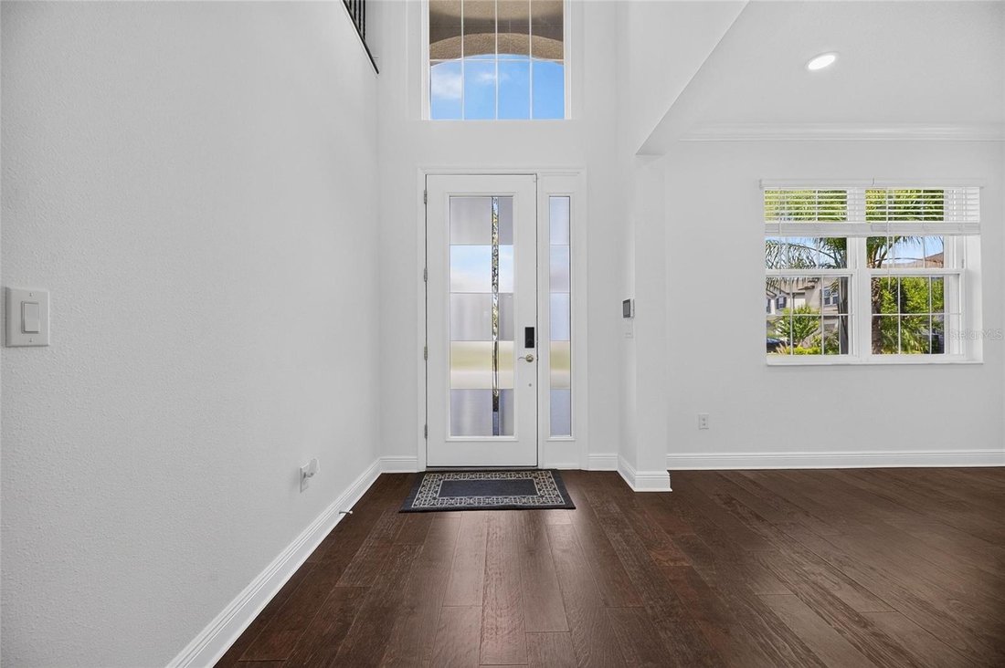 House in Tampa, Florida, United States 3 - 18663010