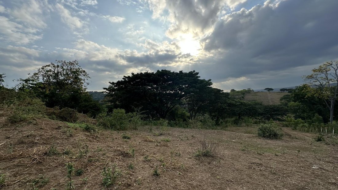 Land in Guayaquil, Guayas, Ecuador 1 - 18660786