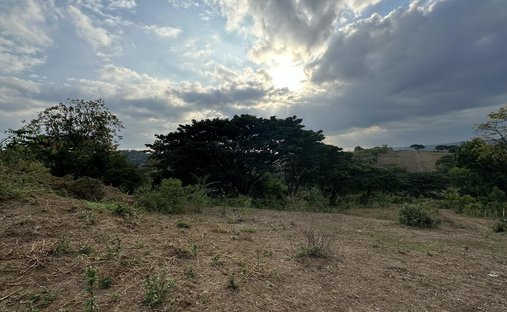 Land in Guayaquil, Guayas, Ecuador 1