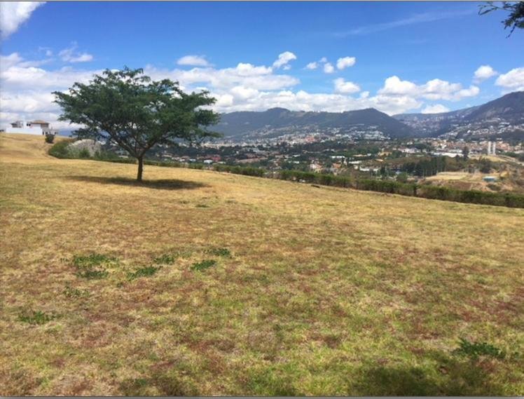 Land in Quito, Pichincha, Ecuador 2 - 18661662