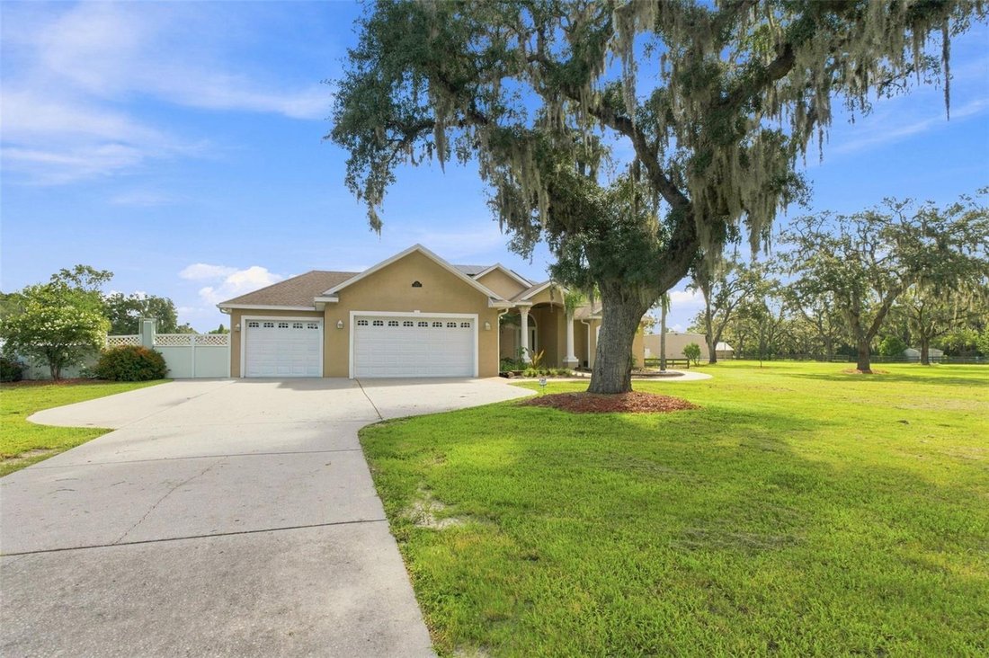 House in New Port Richey, Florida, United States 4 - 18659216