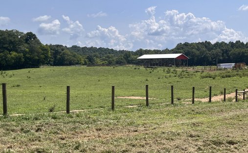 Land in Delano, Tennessee, United States 1