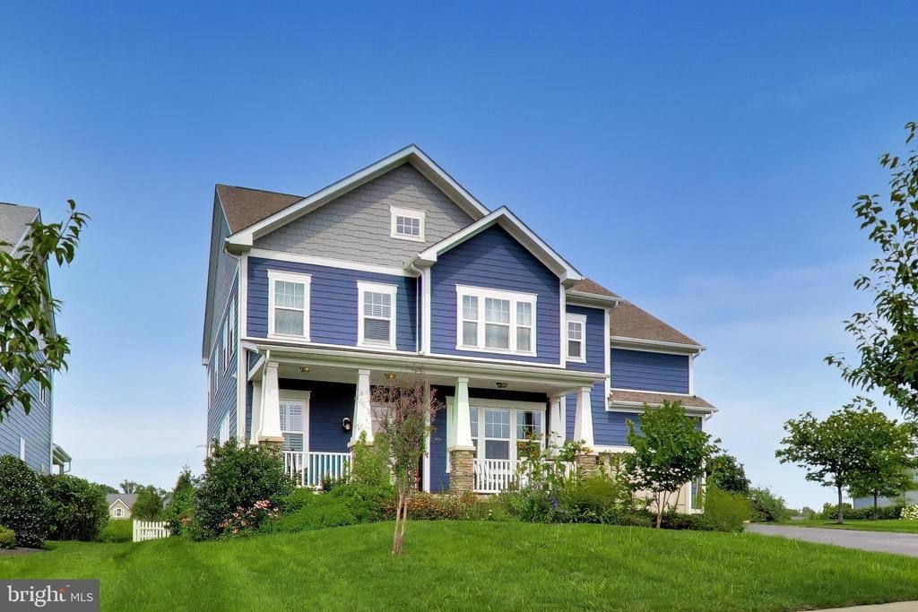 House in Stone Ridge, Virginia, United States 3 - 18670315