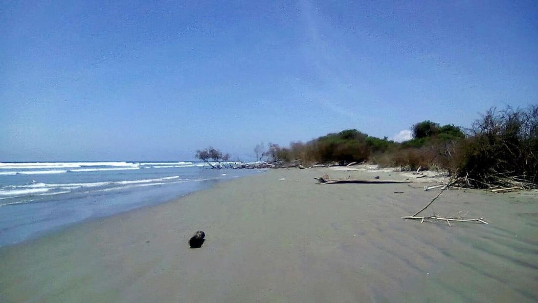 Land in Bolívar, Esmeraldas, Ecuador 1 - 18661386