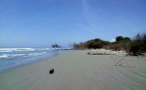 Land in Bolívar, Esmeraldas, Ecuador 1