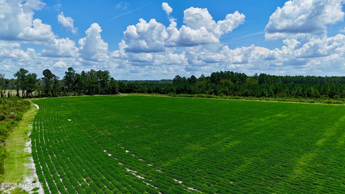 Farm Ranch in Alma, Georgia, United States 2 - 18663170