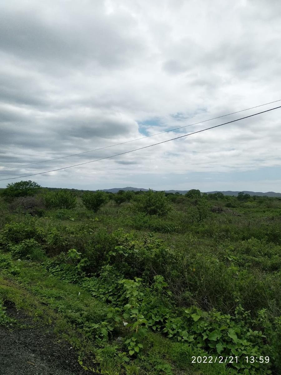 Land in Guayaquil, Guayas, Ecuador 4 - 18661417