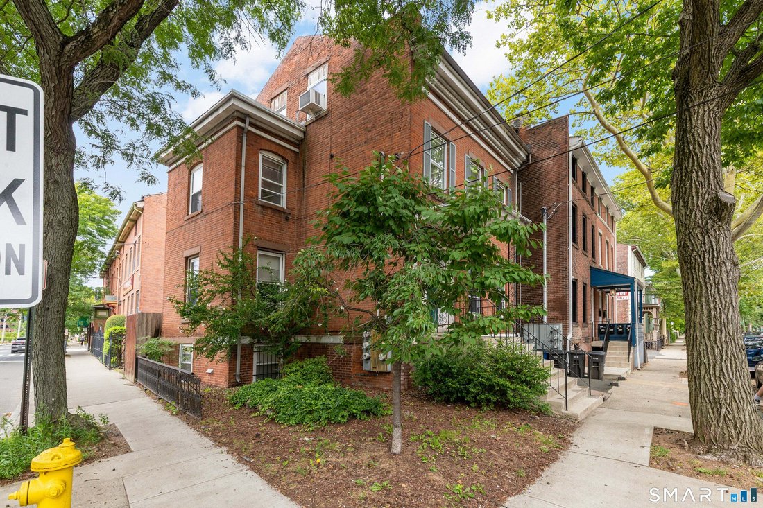 New Haven, Connecticut, United States 2 - 18665791