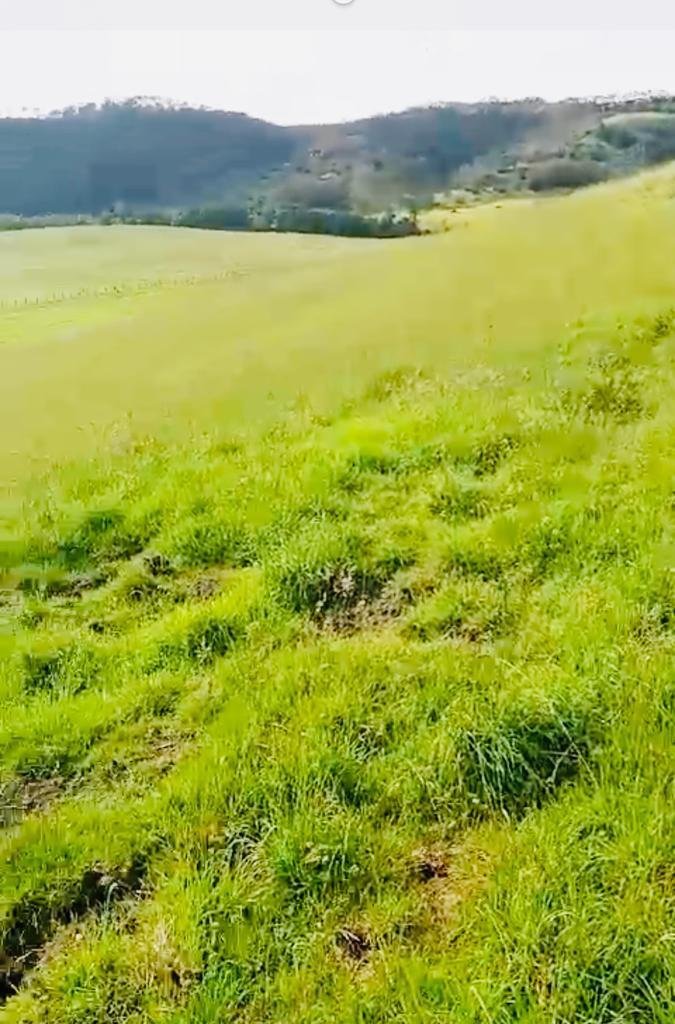 Land in Cotogchoa, Pichincha, Ecuador 4 - 18661446