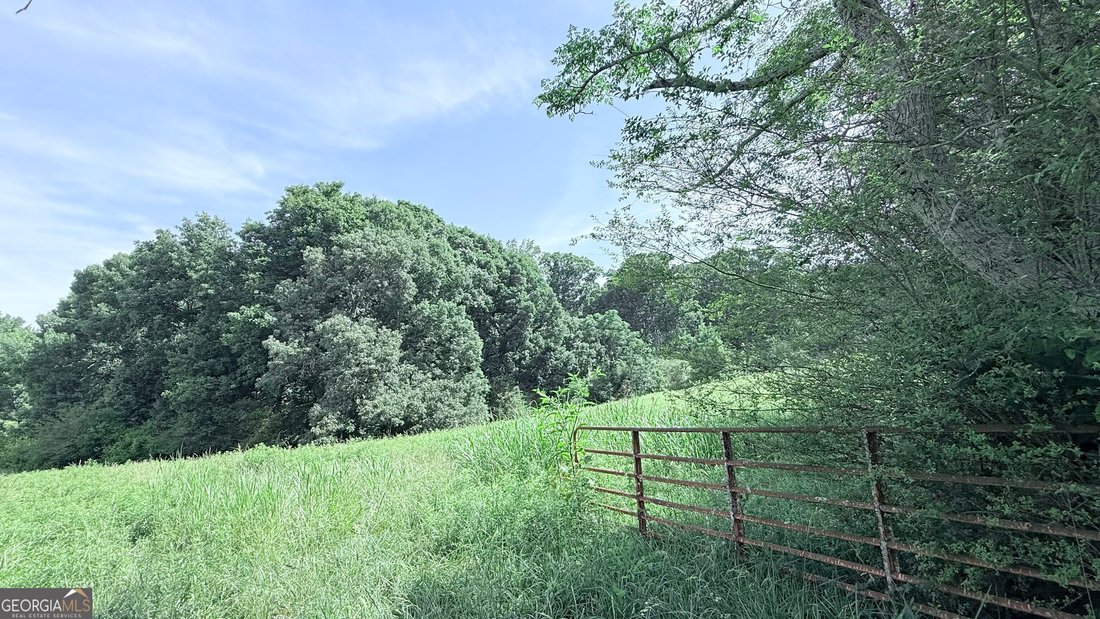 Farm Ranch in Gainesville, Georgia, United States 2 - 18659774