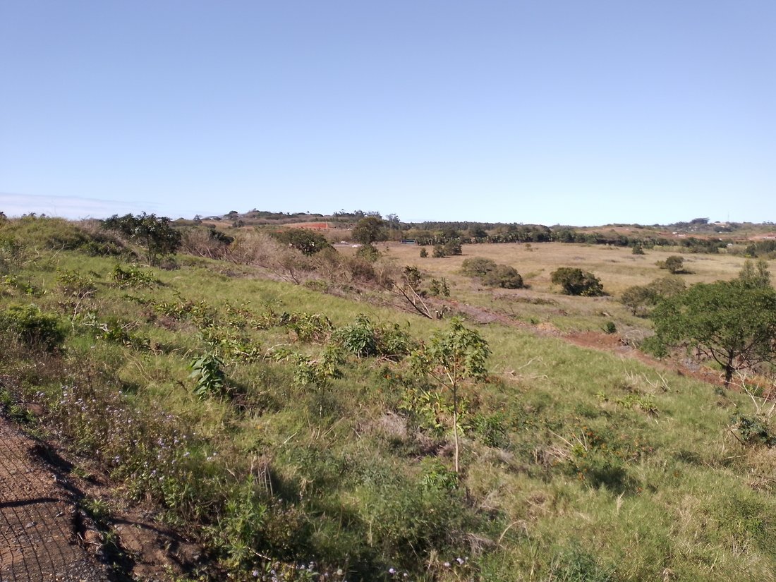 Land in Braamfontein, Gauteng, South Africa 1 - 18659736