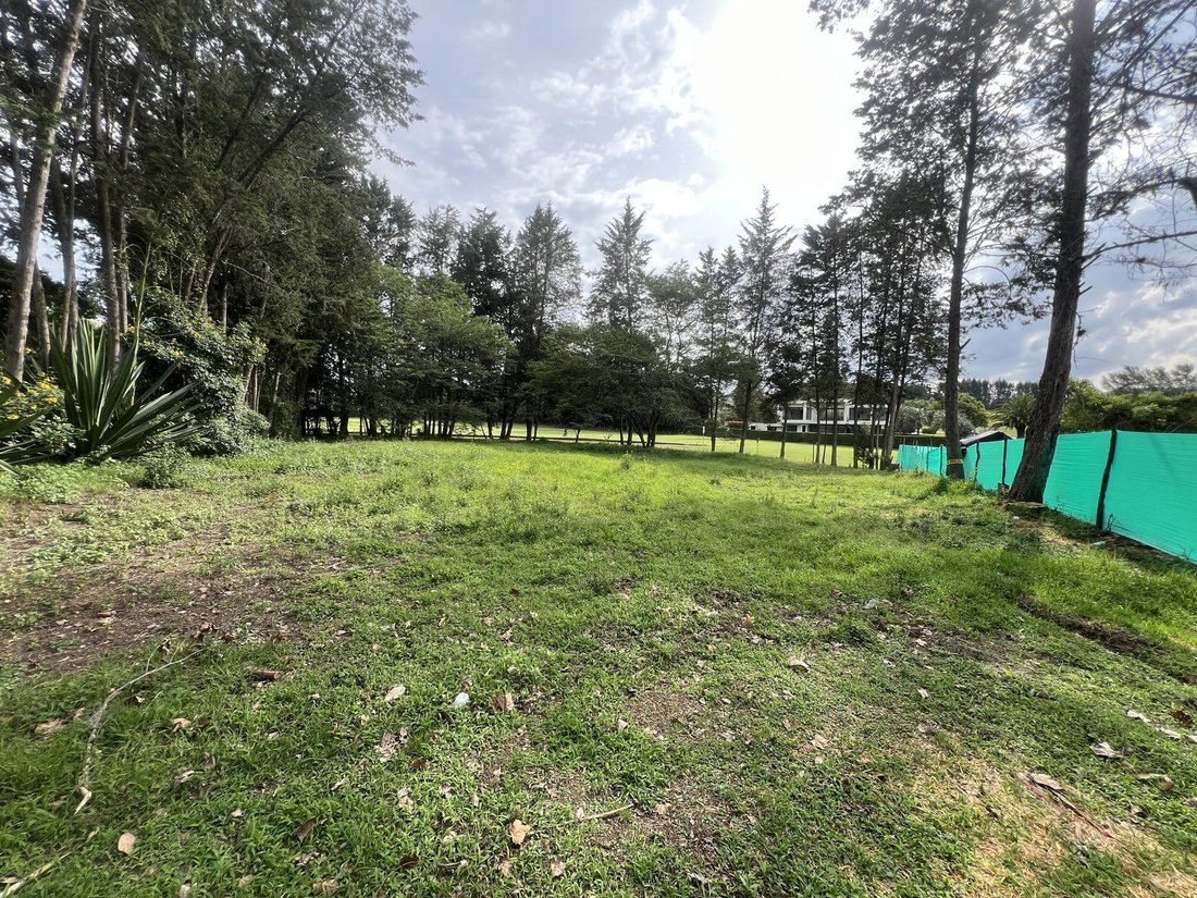 Land in Quito, Pichincha, Ecuador 4 - 18661706
