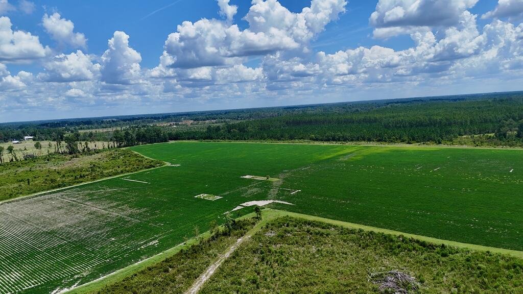 Land in Alma, Georgia, United States 3 - 18663149