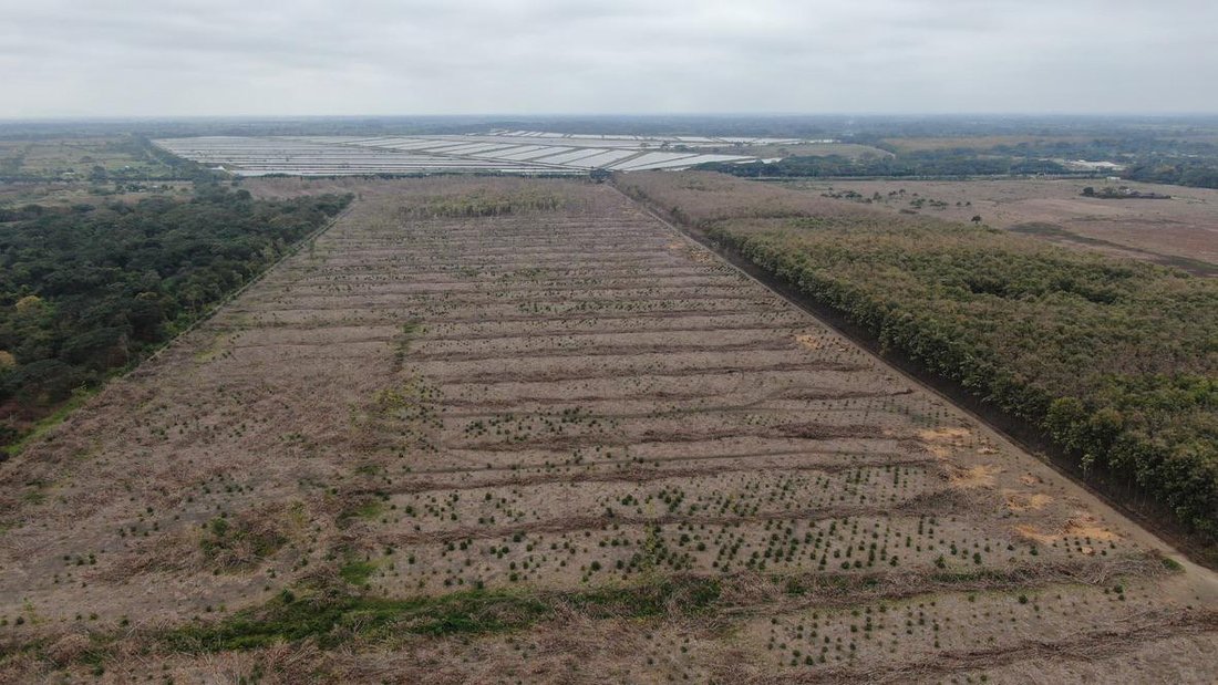 Land in La Palma, Guayas, Ecuador 4 - 18660305