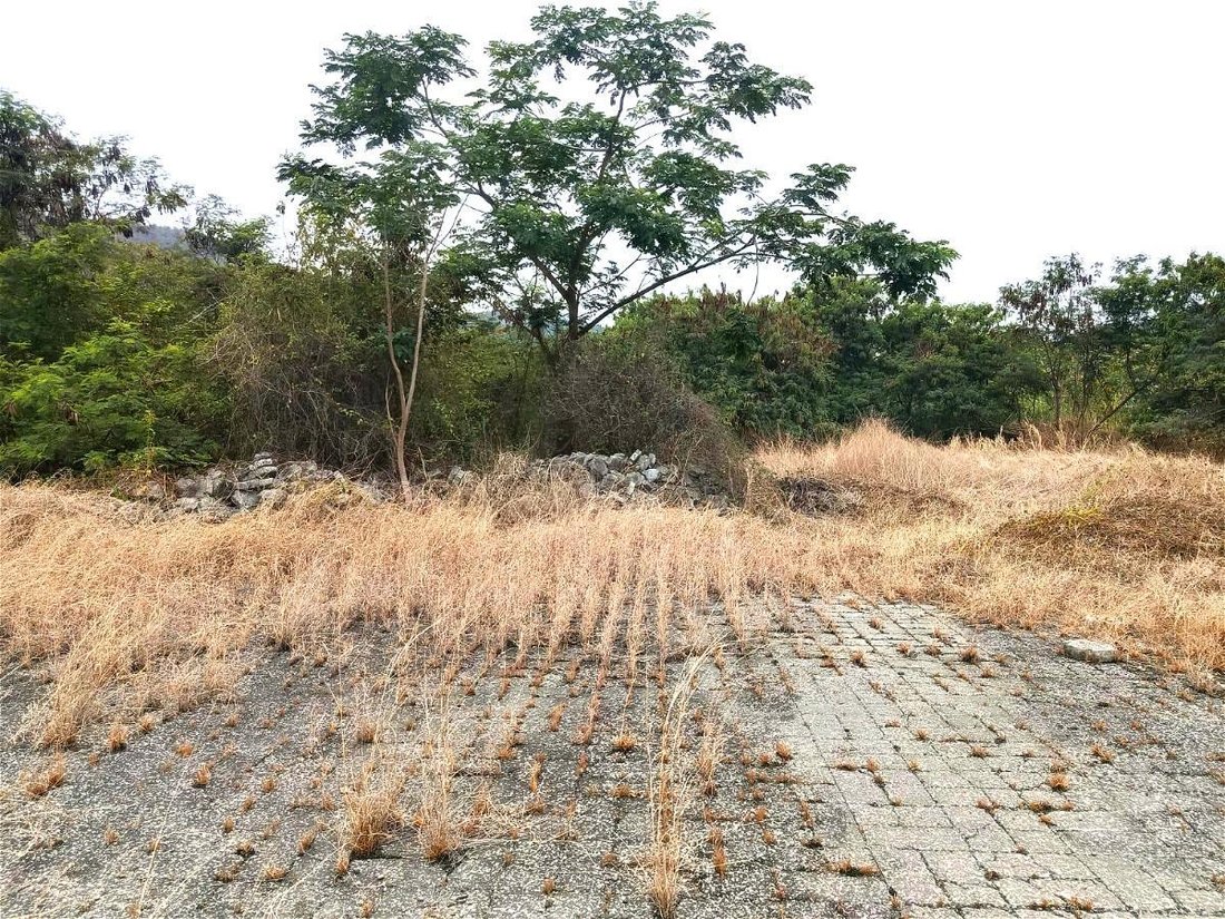 Land in Guayaquil, Guayas, Ecuador 5 - 18660158