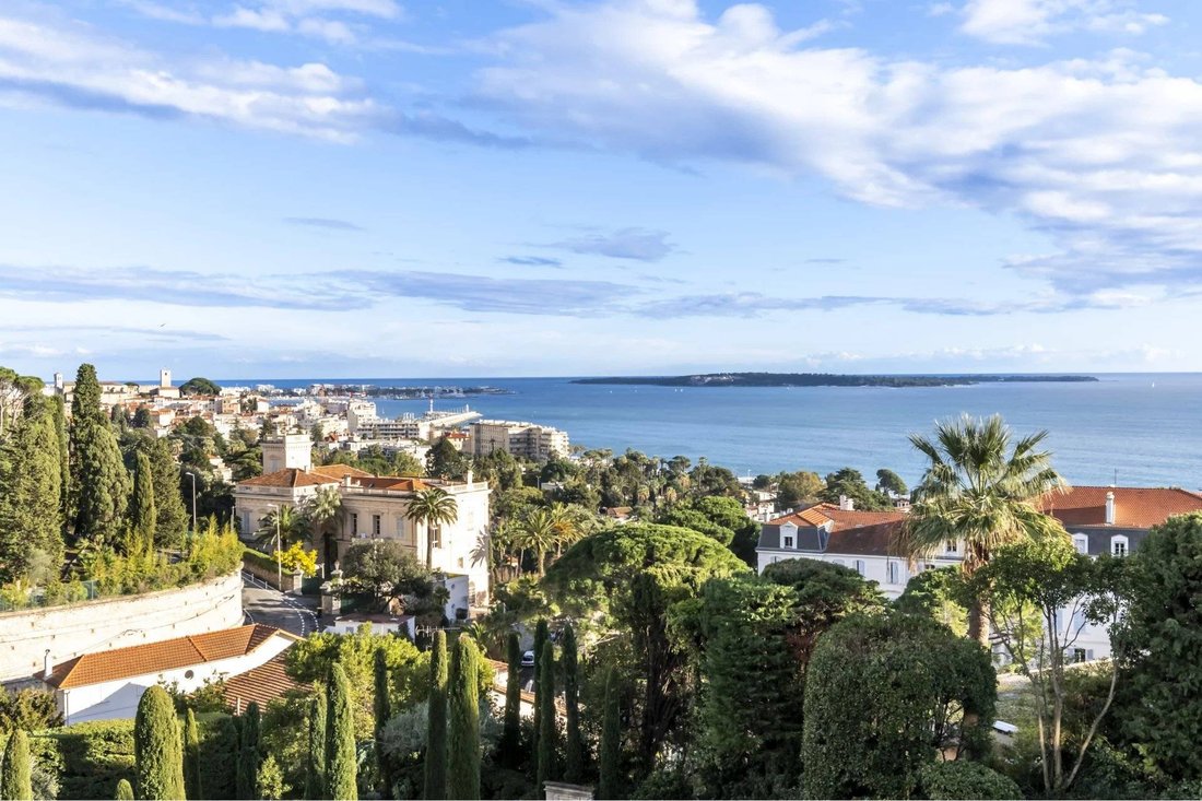 Villa in Cannes, Provence-Alpes-Côte d'Azur, France 2 - 16993014