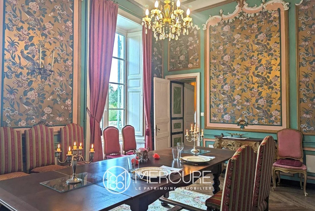 Castle in Montaigu, Montaigu-Vendee, France 4 - 18509988