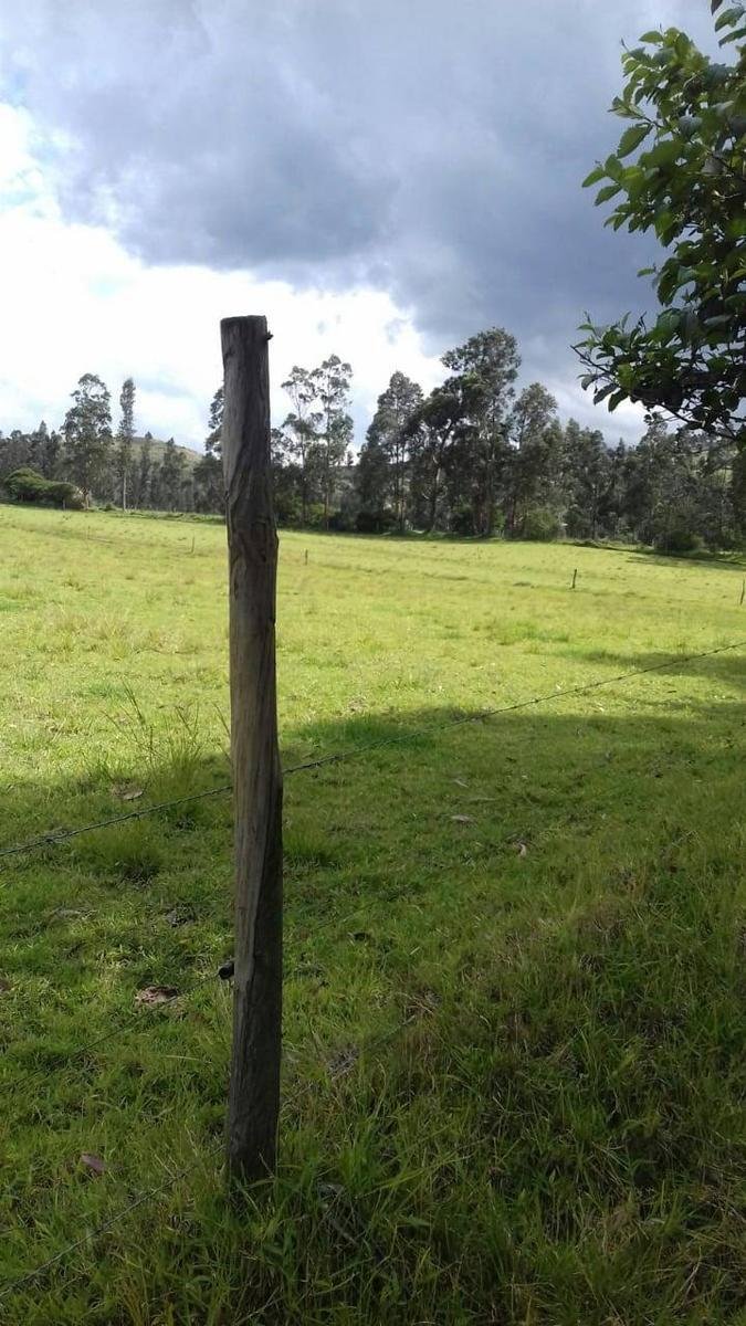 Land in Quito, Pichincha, Ecuador 5 - 18661421