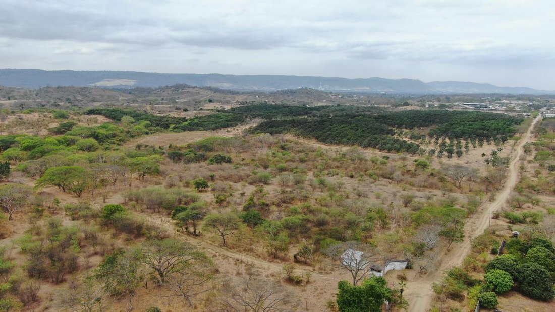 Land in Guayaquil, Guayas, Ecuador 2 - 18660275