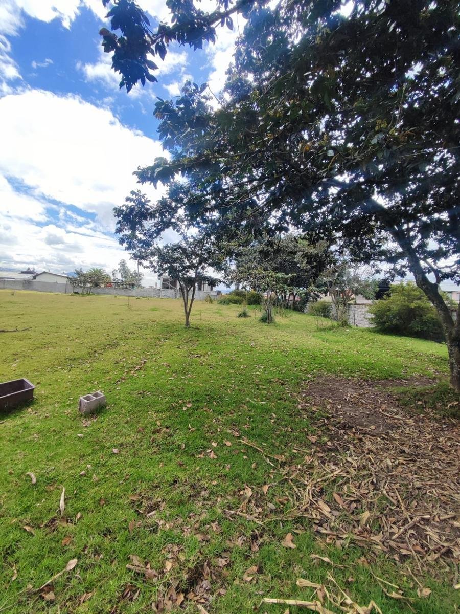 Land in Quito, Pichincha, Ecuador 3 - 18661716
