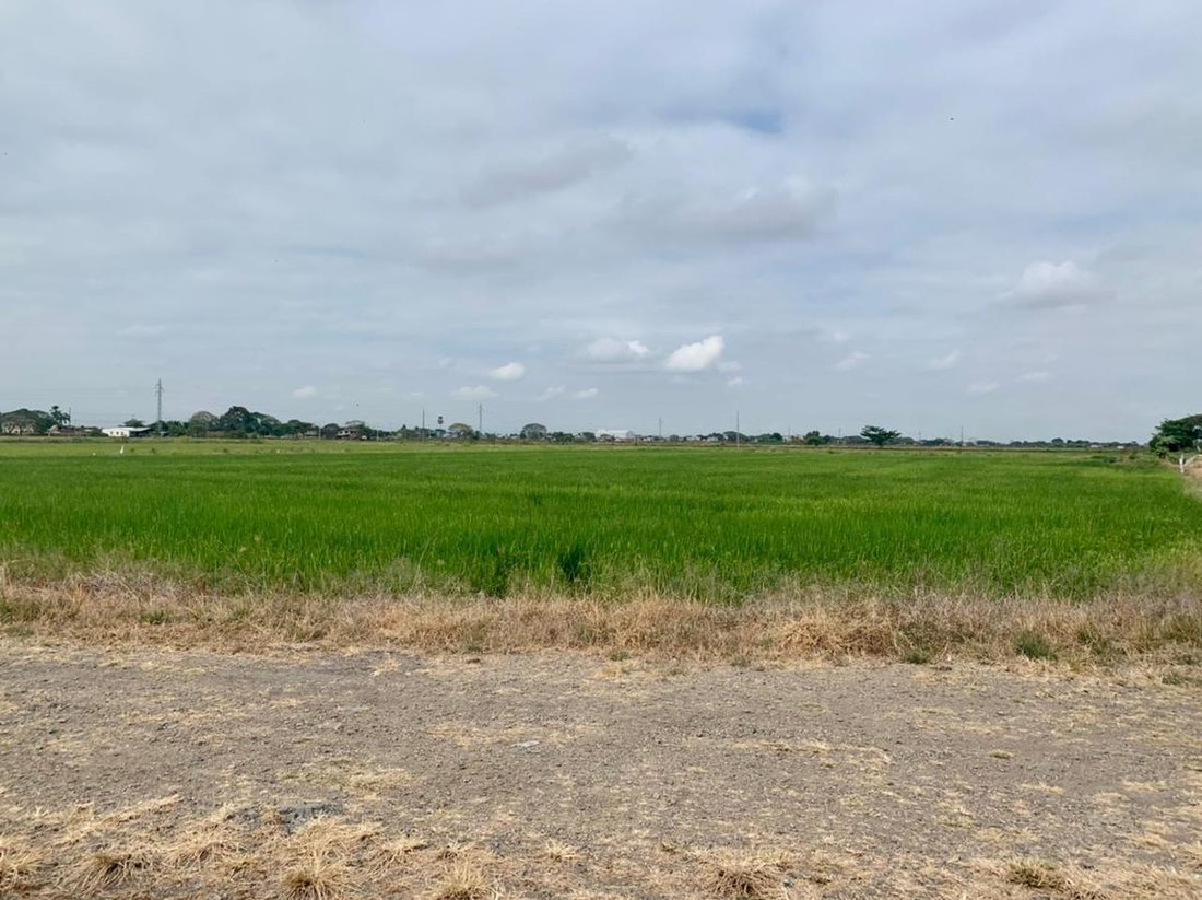 Land in Duran, Guayas, Ecuador 1 - 18660008