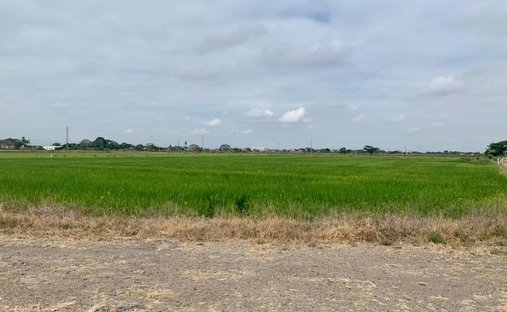 Land in Duran, Guayas, Ecuador 1