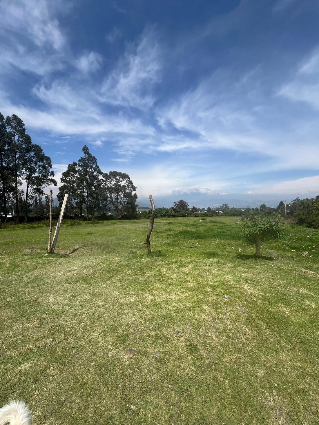 Land in Quito, Pichincha, Ecuador 2 - 18660211