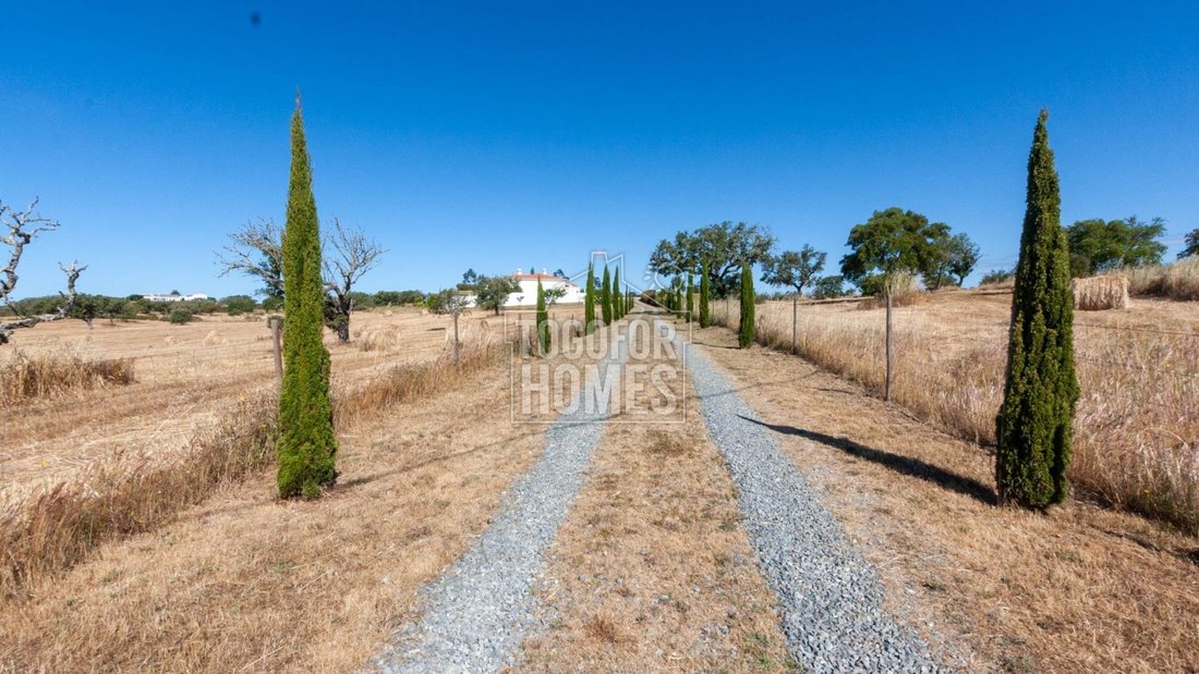 Farm Ranch in Ourique, Beja District, Portugal 4 - 18396937