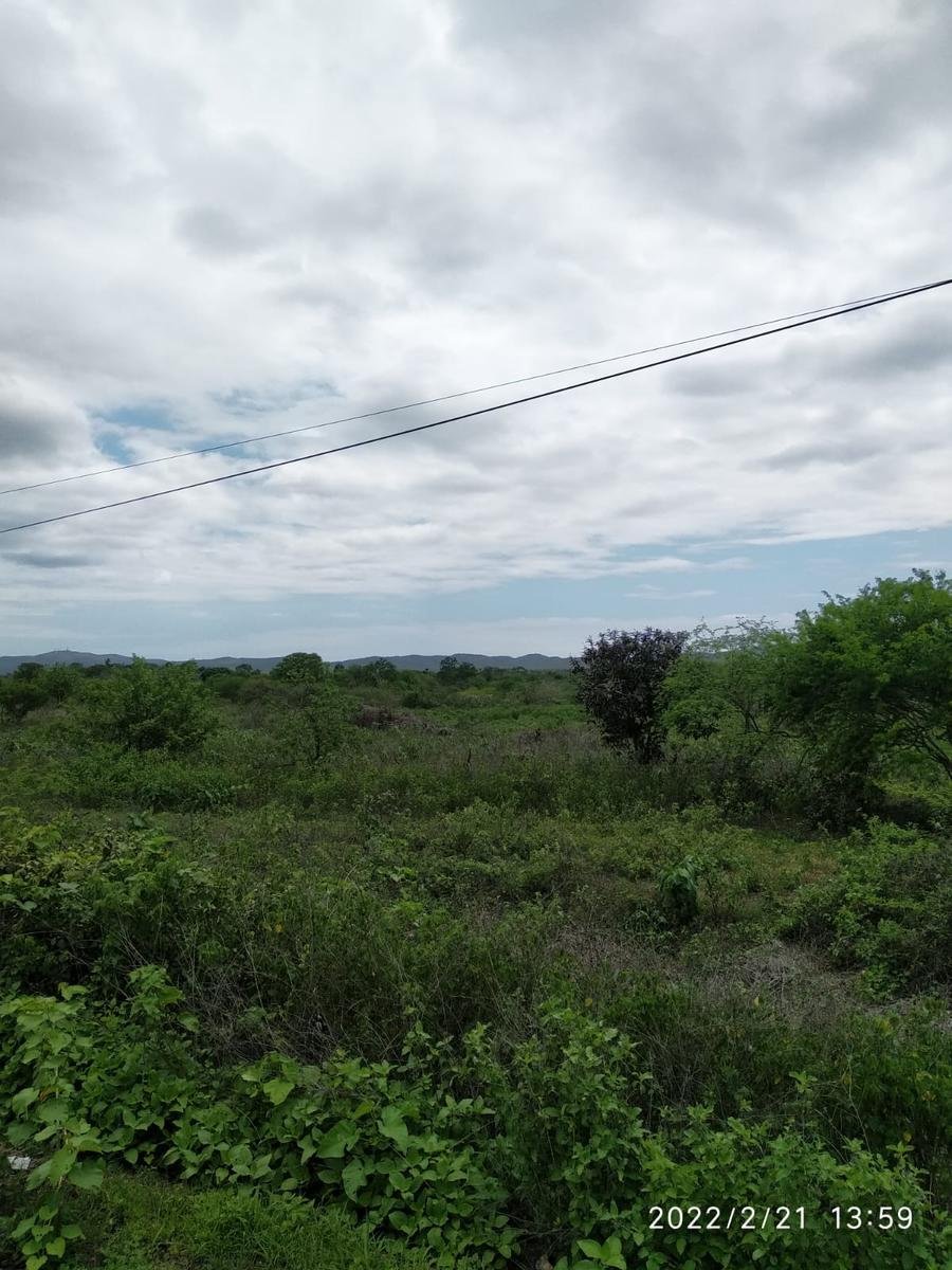 Land in Guayaquil, Guayas, Ecuador 5 - 18661417