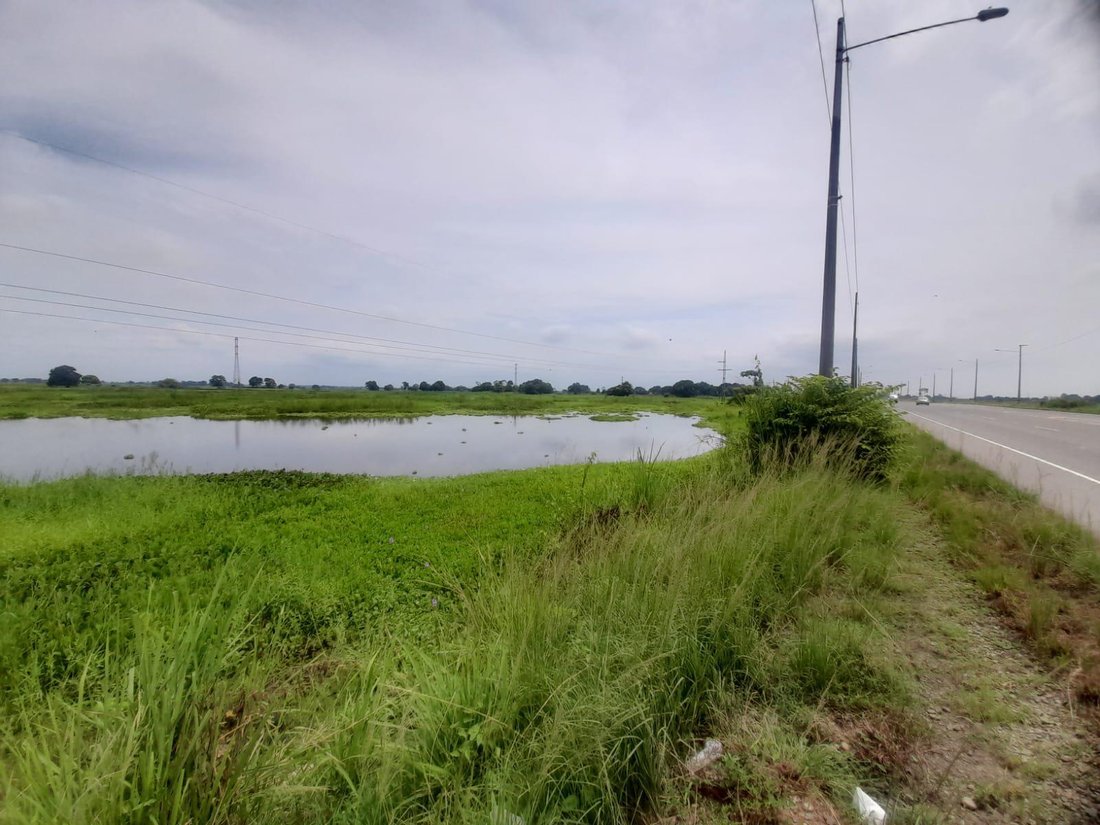 Land in Babahoyo, Los Rios, Ecuador 3 - 18660108