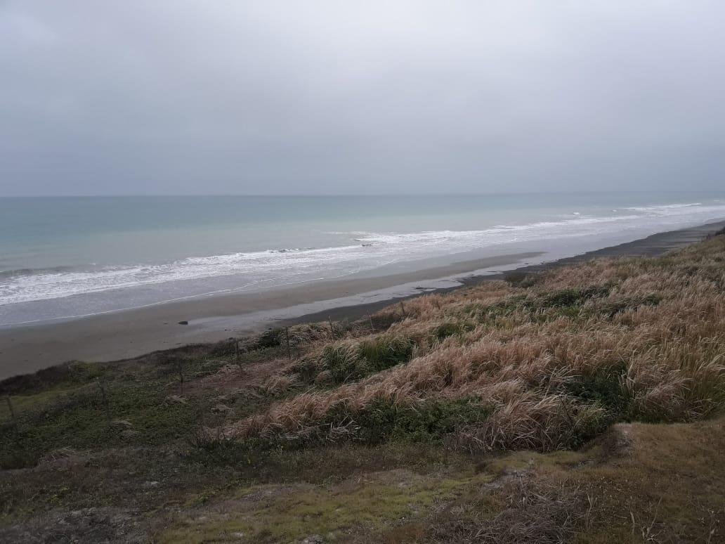 Land in Pedernales, Manabí, Ecuador 1 - 18660119
