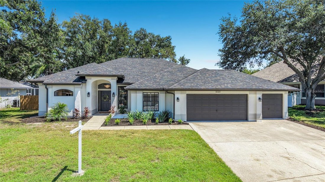 House in Palm Harbor, Florida, United States 1 - 18663029