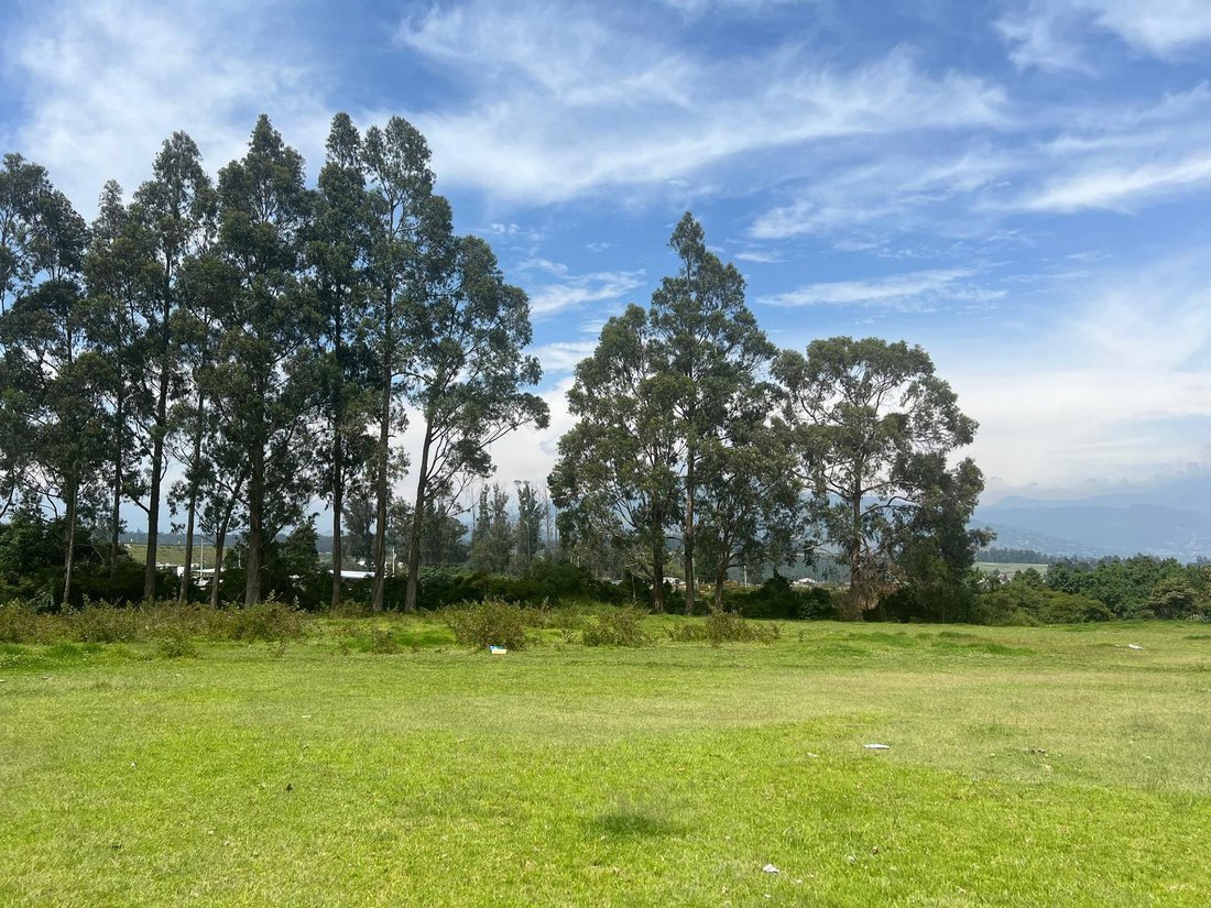 Land in Quito, Pichincha, Ecuador 1 - 18660211
