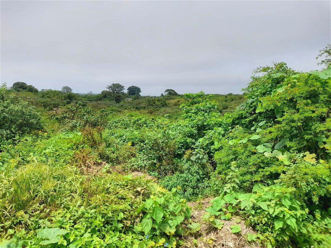 Land in Aromo, Manabí, Ecuador 2 - 18660020