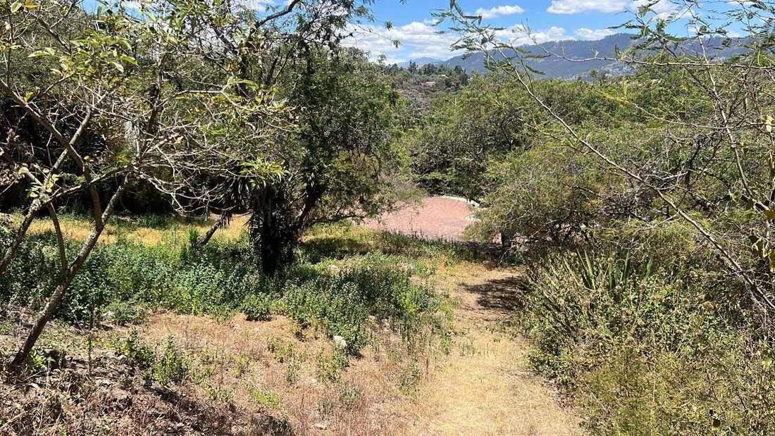 Land in Quito, Pichincha, Ecuador 1 - 18661568