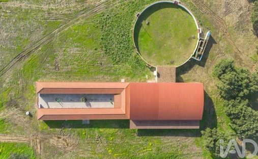 Azienda agricola a Viana do Alentejo, Distretto di Évora, Portogallo 1