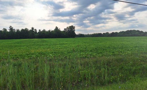 Terrain à Township of Clyde, Michigan, États-Unis 1