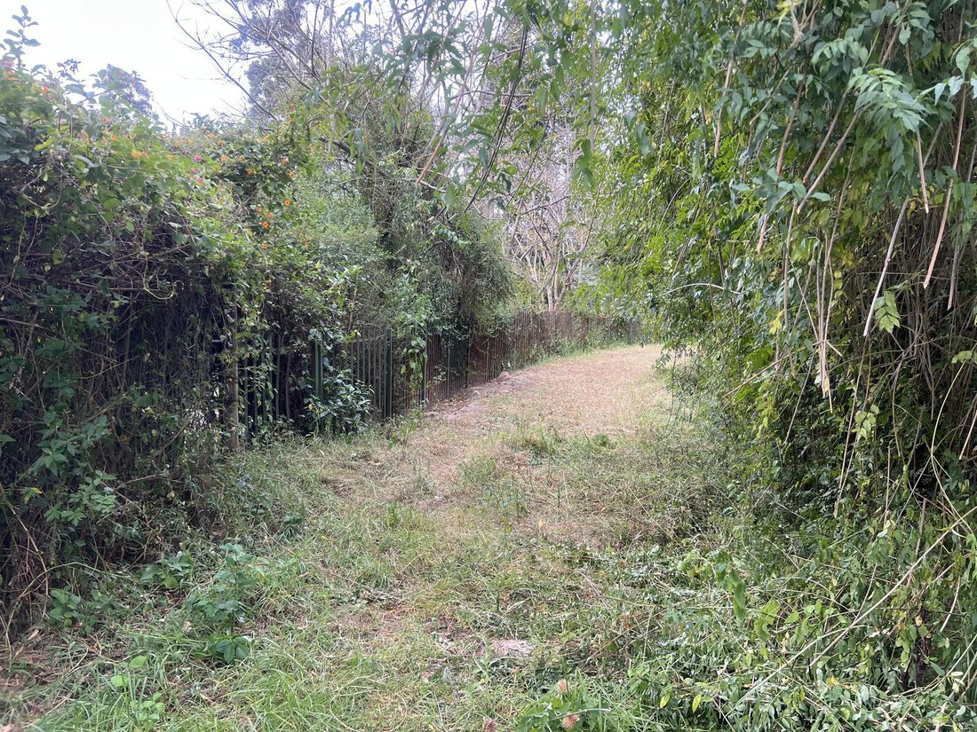 Land in Quito, Pichincha, Ecuador 3 - 18661554