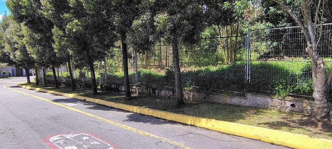 Land in Quito, Pichincha, Ecuador 1 - 18661545
