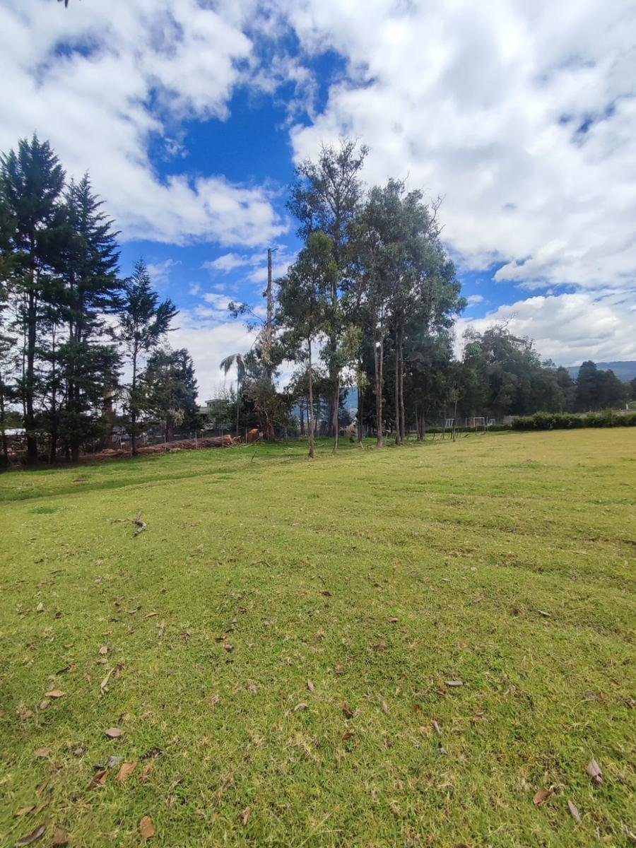 Land in Quito, Pichincha, Ecuador 1 - 18661716