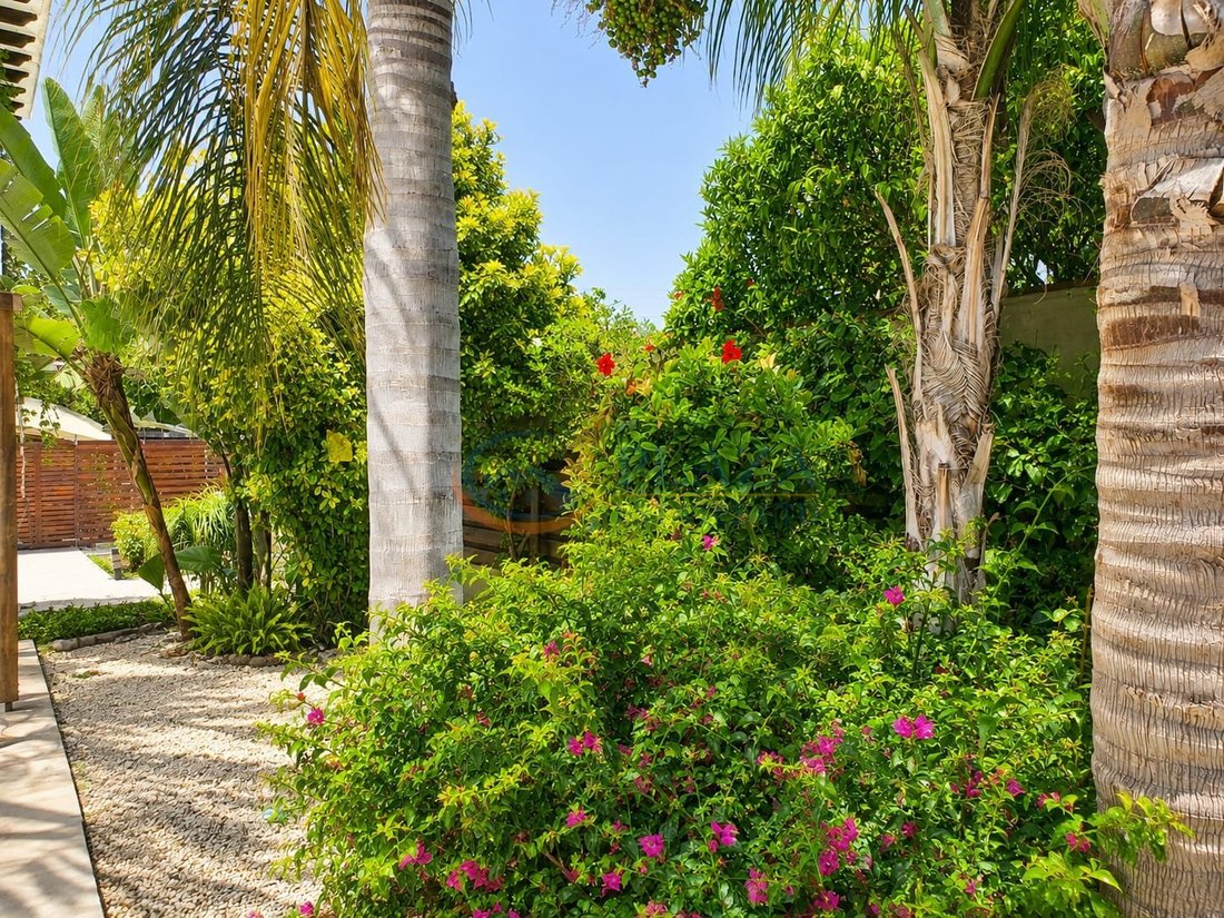 House in Emba, Paphos, Cyprus 5 - 18671825