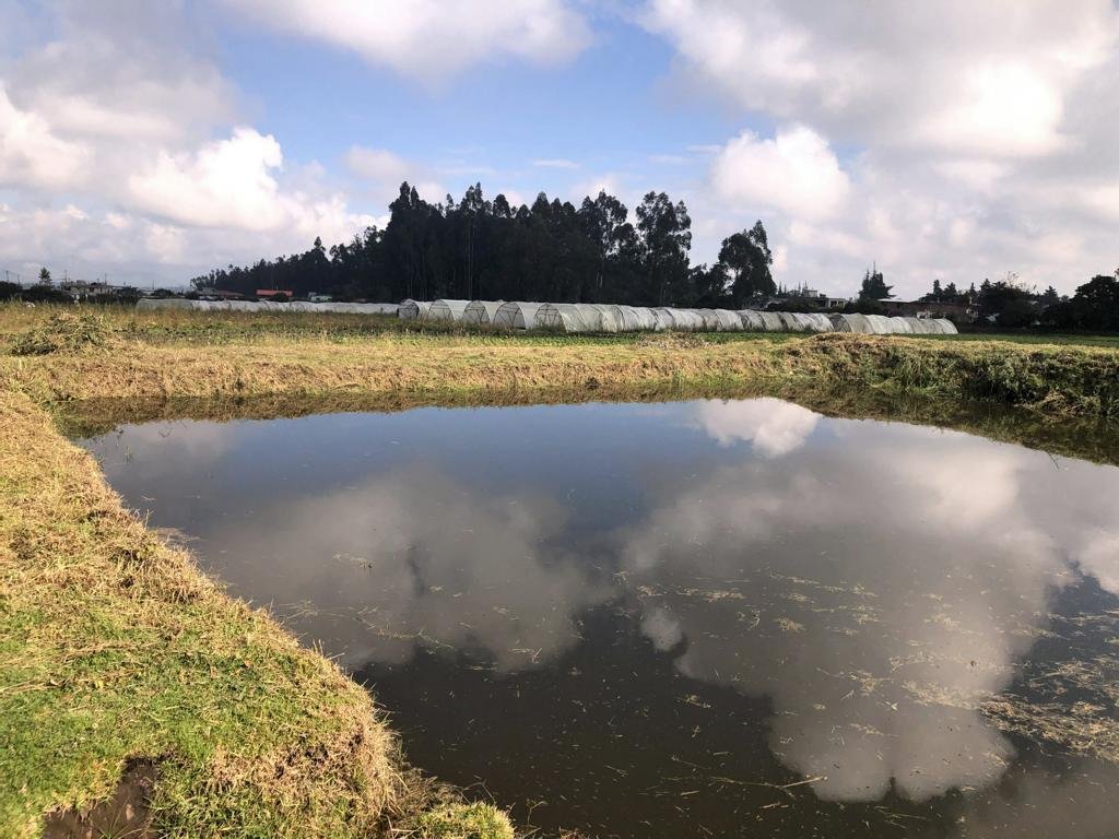 Land in Quito, Pichincha, Ecuador 4 - 18660228