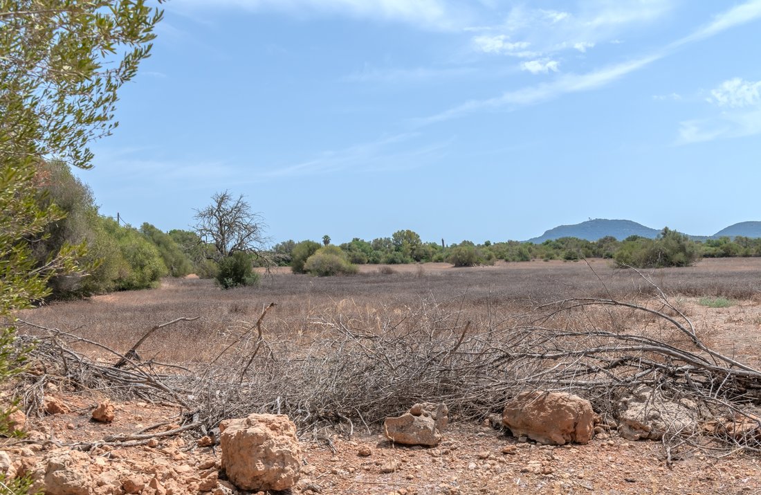 Land in Algaida, Balearic Islands, Spain 5 - 18659021