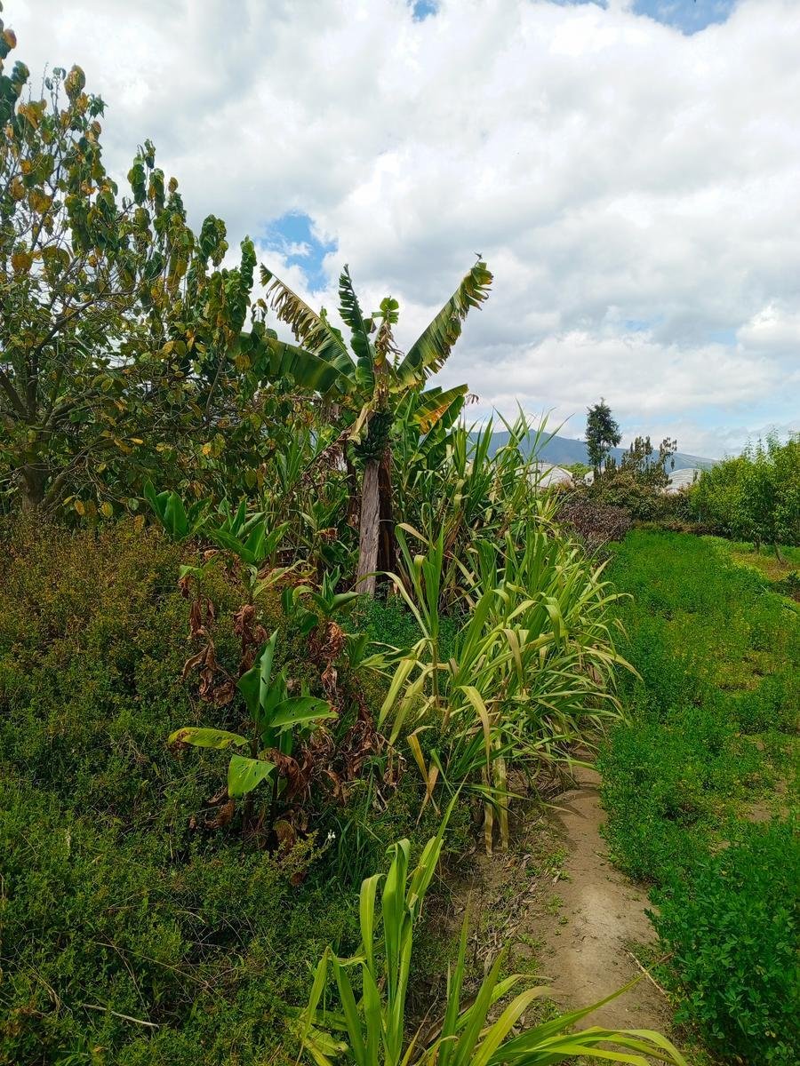 Land in Quito, Pichincha, Ecuador 4 - 18661472