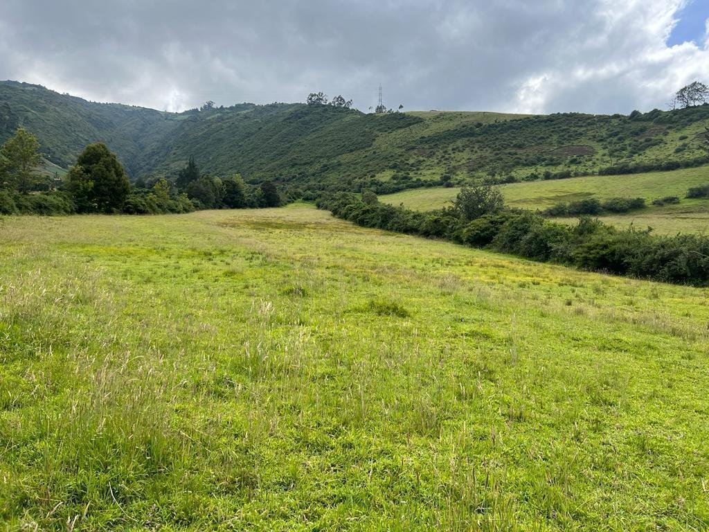 Farm Ranch in Quito, Pichincha, Ecuador 2 - 18661675