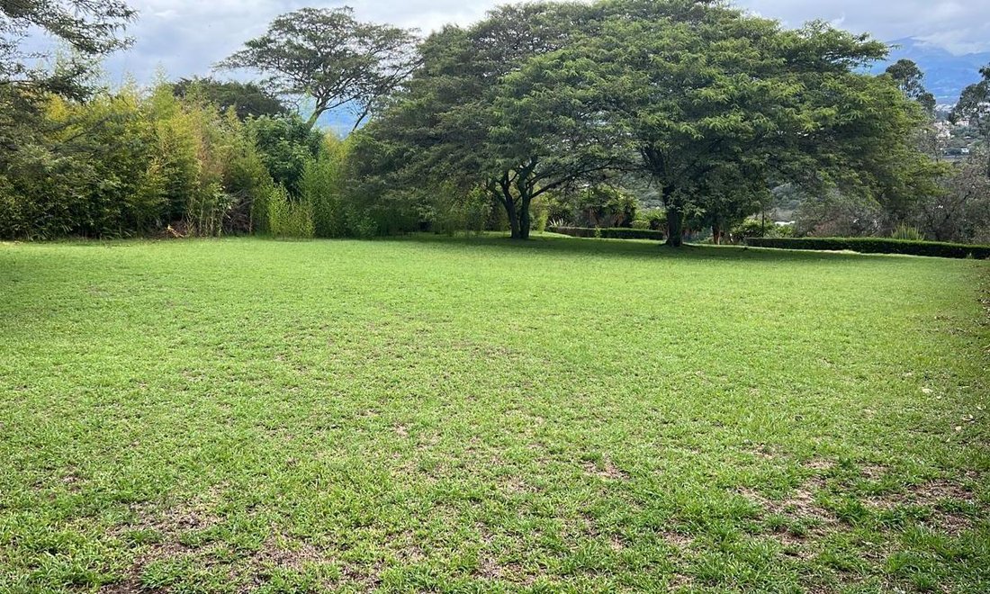 Land in Quito, Pichincha, Ecuador 1 - 18661627