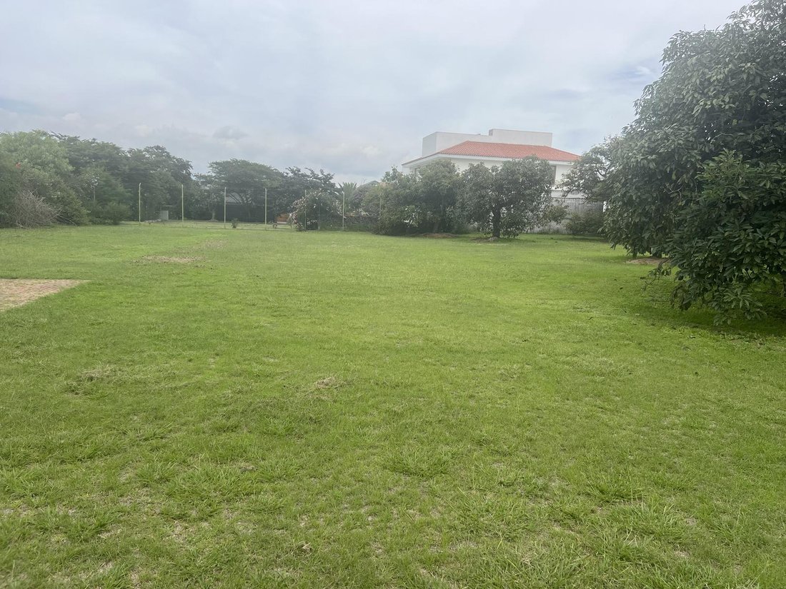 Land in Quito, Pichincha, Ecuador 1 - 18661606
