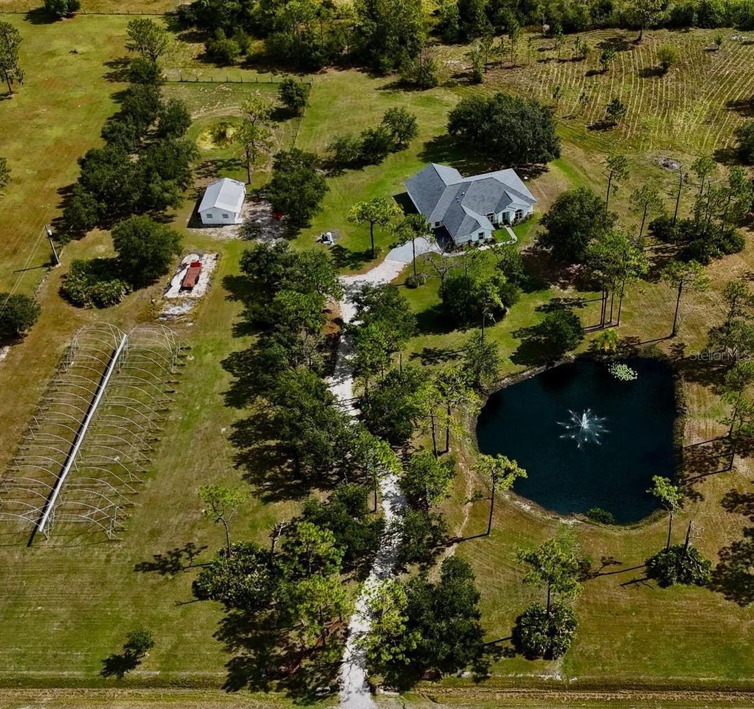 House in Myakka City, Florida, United States 4 - 18659222