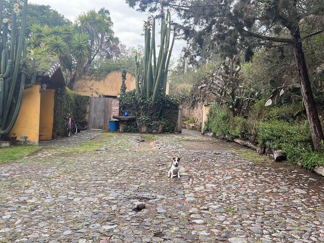 Land in Quito, Pichincha, Ecuador 1 - 18661630